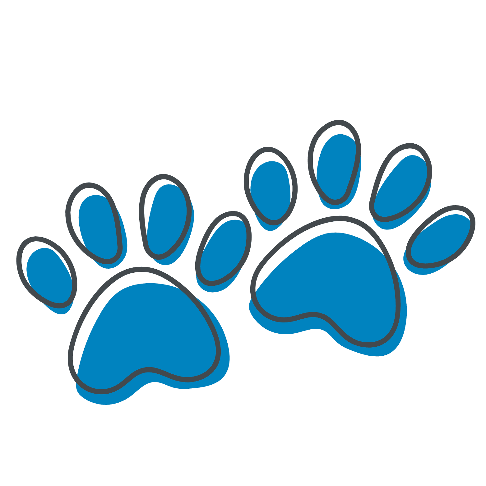 paws transparent